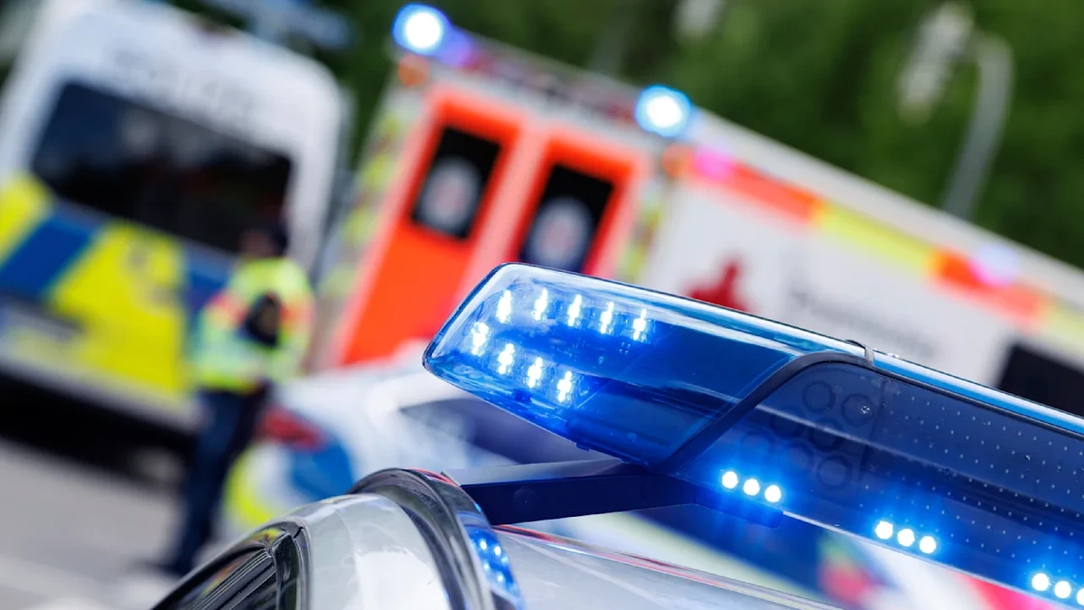Mädchen entführt: Frau hörte Hilferufe im Wald – Verdächtiger festgenommen