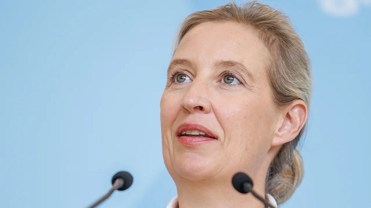 AfD in Bayern kämpft um Einfluss: Ein Putsch soll Alice Weidel schwächen