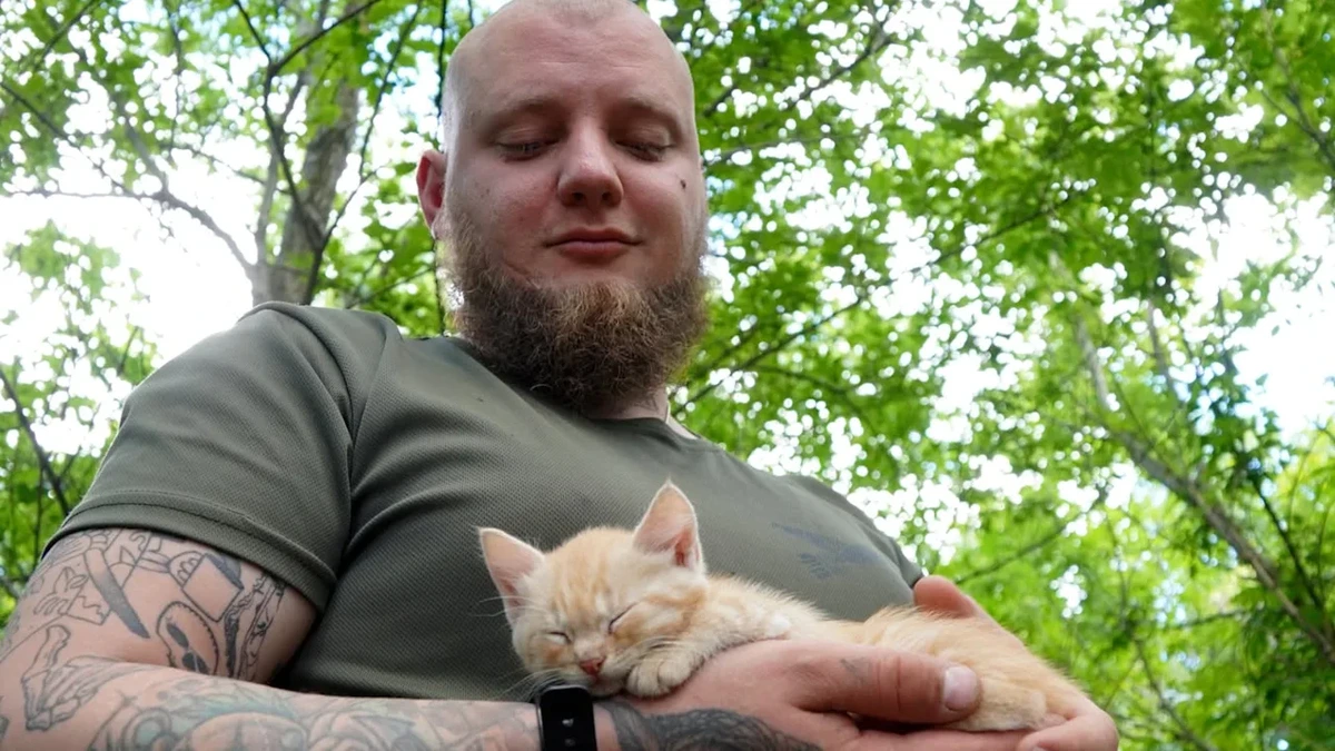 Ukraine – Katzenbabys mit Drohne gerettet: Soldaten starten „Operation Miau-Miau“