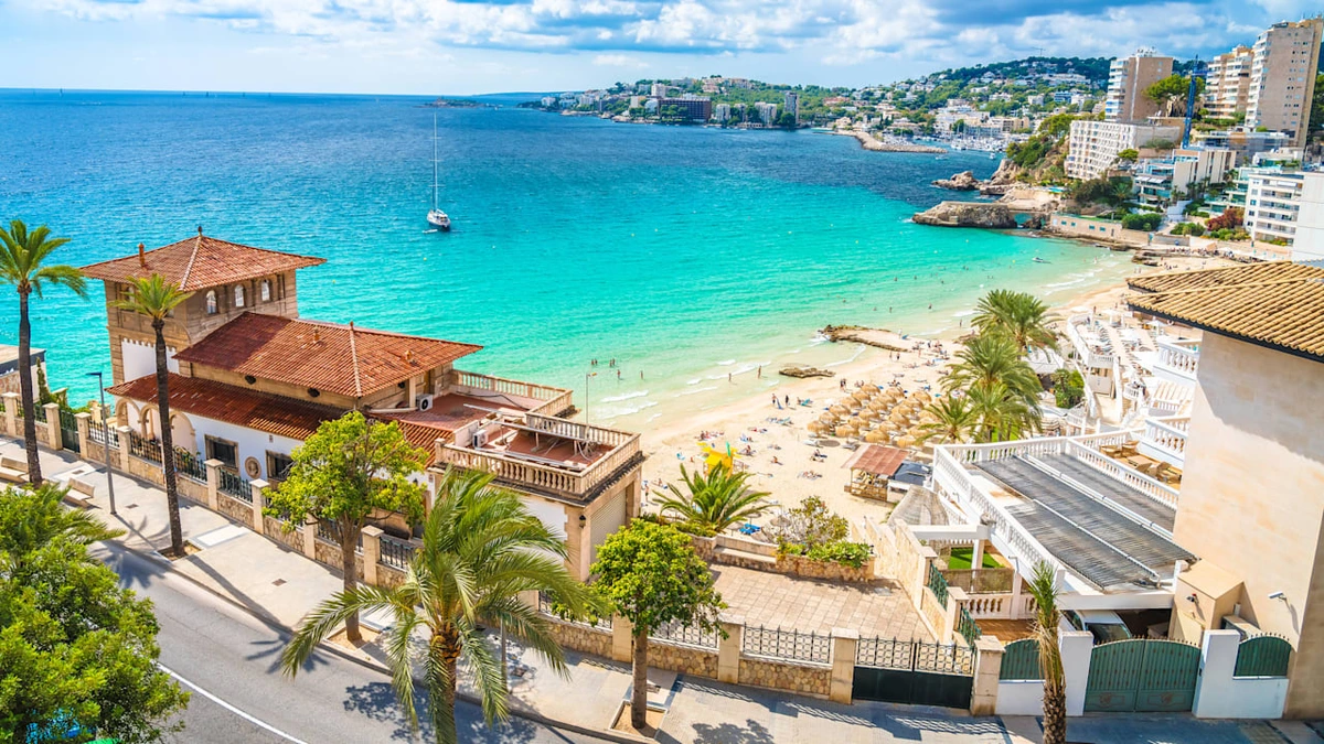 Zähne sind zum Fürchten: Fische beißen Deutsche auf Mallorca ins Bein