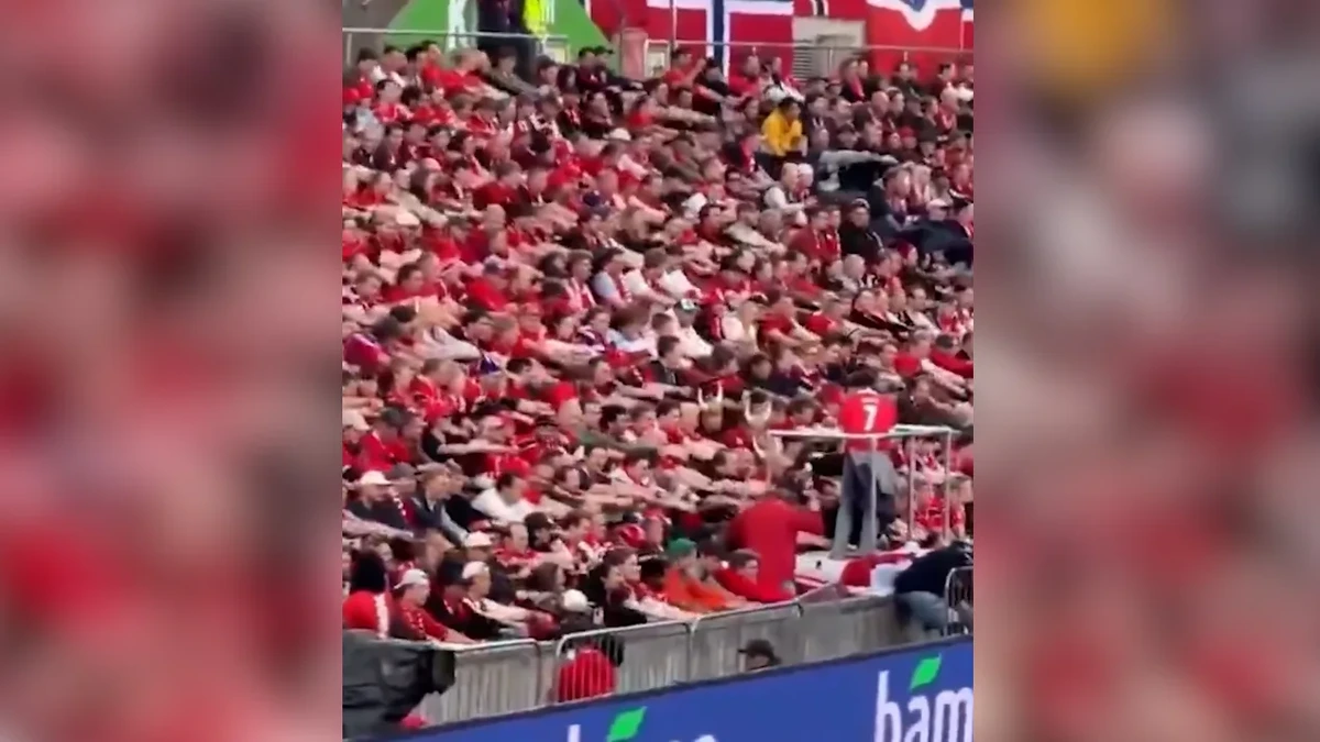 Das Wikinger-Ruder: Diese Fan-Choreo wird zum WM-Hit