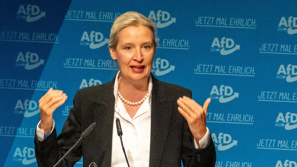 Weidel nennt Merz „Lügenkanzler“ – Streit um Paragraf 188 StGB