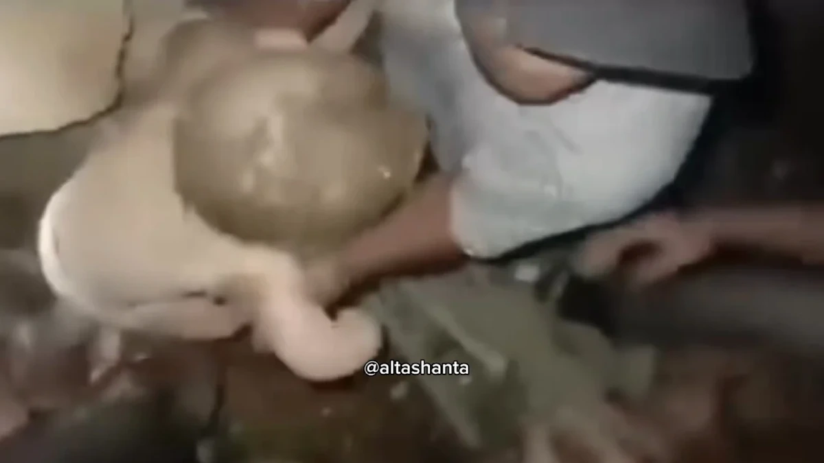 Wunder-Rettungen nach Erdbeben in Venezuela: Baby aus Trümmern gezogen