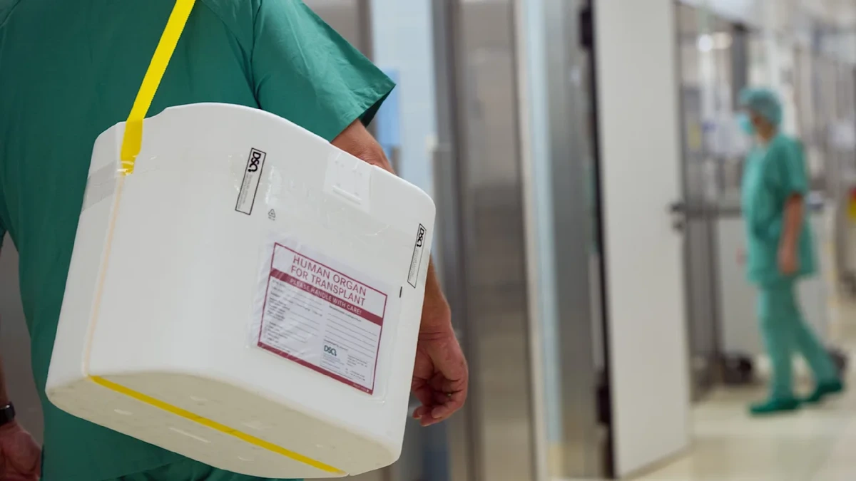 Bundestag streitet heute über Organspenden: Diese Debatte entscheidet über Leben und Tod
