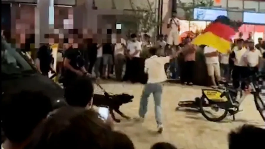 Bielefeld: Randale nach Deutschland-Spiel – Polizeihund beißt Fan