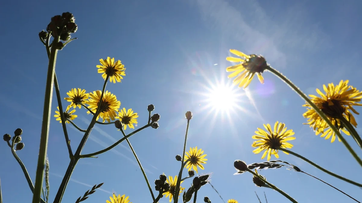 El Niño und La Niña haben auch Einfluss auf unseren Sommer