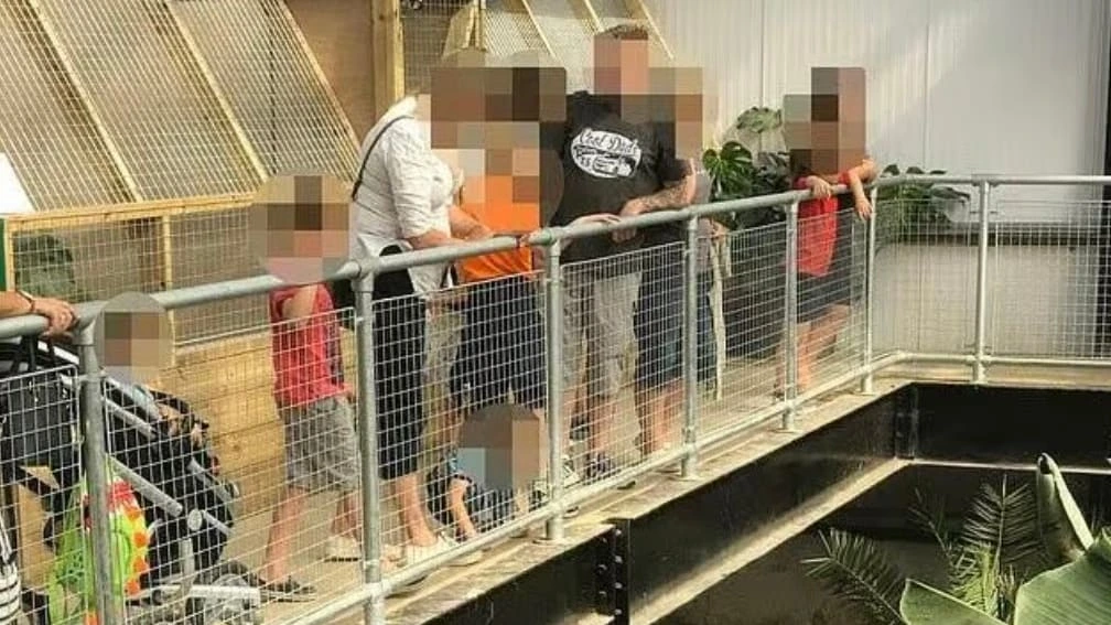 Kind in Krokodilgehege geschmissen – Mann festgenommen