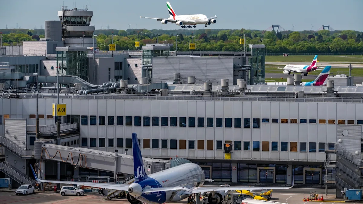 Am Flughafen: Zoll stoppt Frau mit Schlangen-Gulasch im Gepäck