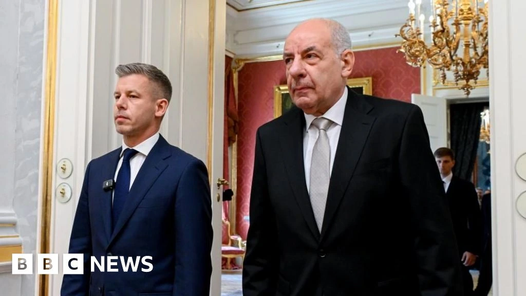 Hungary parliament votes to remove president from office