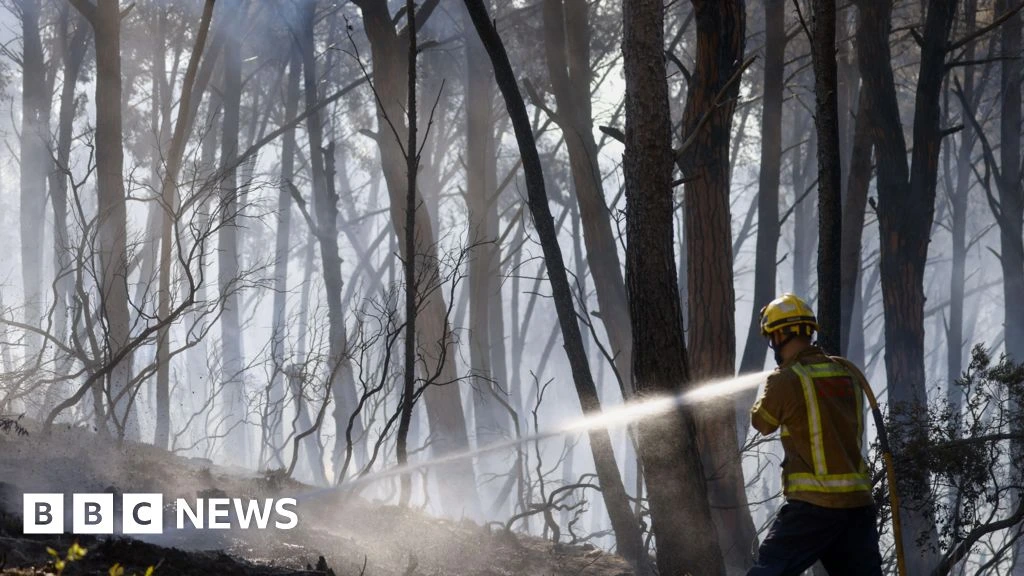 Twelve die in wildfire in Spain as heatwave continues in southern Europe