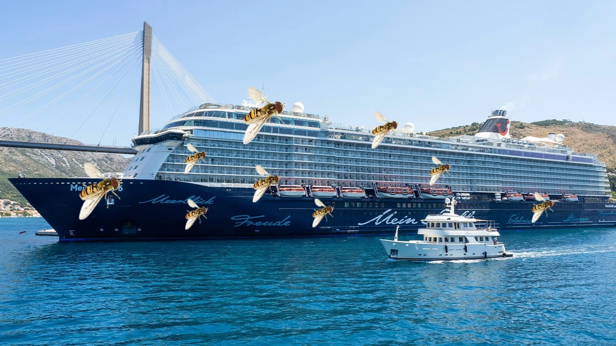 Ungebetene Gäste an Bord: Insekten-Invasion auf Kreuzfahrtschiff