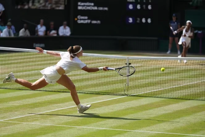 Wimbledon 2026 : Karolina Muchova et Linda Noskova font briller le tennis tchèque sur le gazon londonien