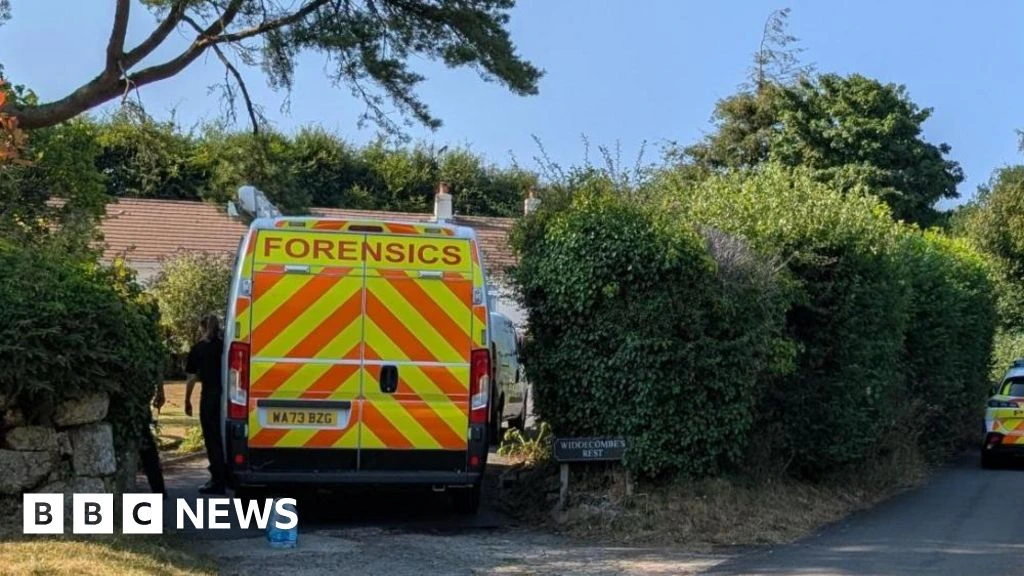 Ann Widdecombe murder probe: What we know so far