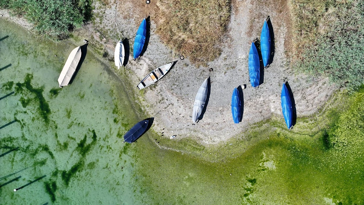Bodensee: Dürre lässt Deutschlands größten See austrocknen