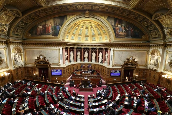 Aide à mourir : le Sénat renonce définitivement à modifier le texte de l’Assemblée nationale