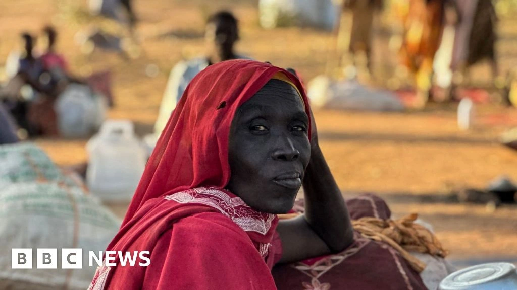 International court tells BBC of breakthrough in Sudan war crimes probe