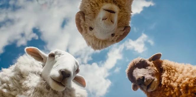 « Les Moutons détectives », sur Prime Video : Agatha Christie à la mode ovine