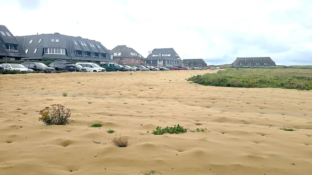 Sieht aus wie Sand am Strand: Urlaubsinsel verlegt jetzt beigefarbene Teppiche