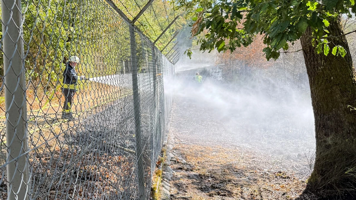 Grävenwiesbach (Hessen): Waldbrand bedroht Lager der Bundespolizei
