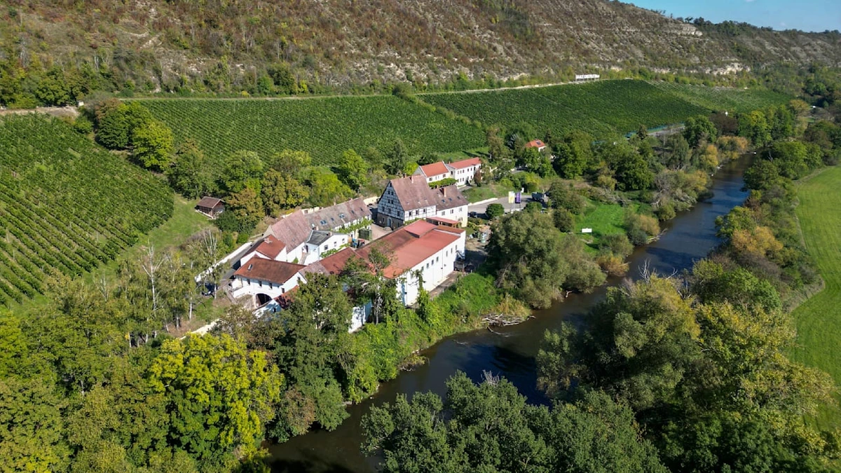 Fast 900 Jahre altes Weingut steht vor der Pleite