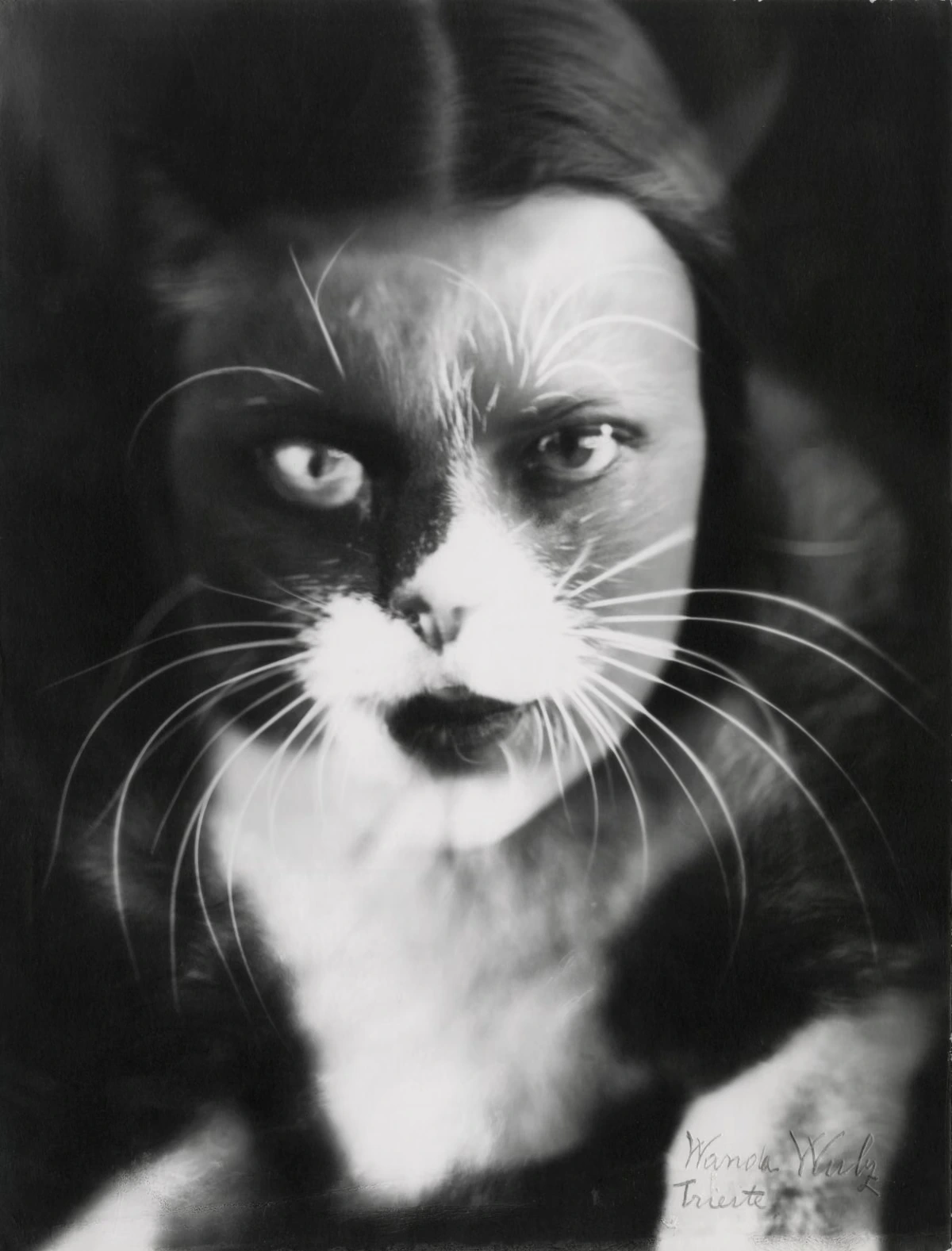 The cat that fought Mussolini: how the Wulz photography sisters weaponised the family pet