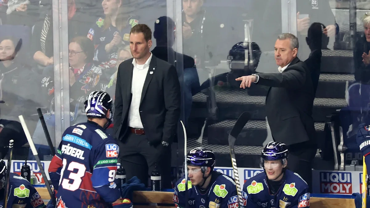 Eishockey: Eisbären-Coach Andre Rankel wird Bundestrainer