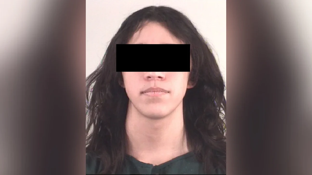 Komplex um deutschen Online-Sadisten: Evan (17) drohte mit Massenmorden