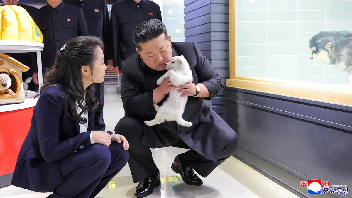 Wegen Hitzewelle in Nordkorea: Kim-Propaganda empfiehlt Hundefleisch-Suppe