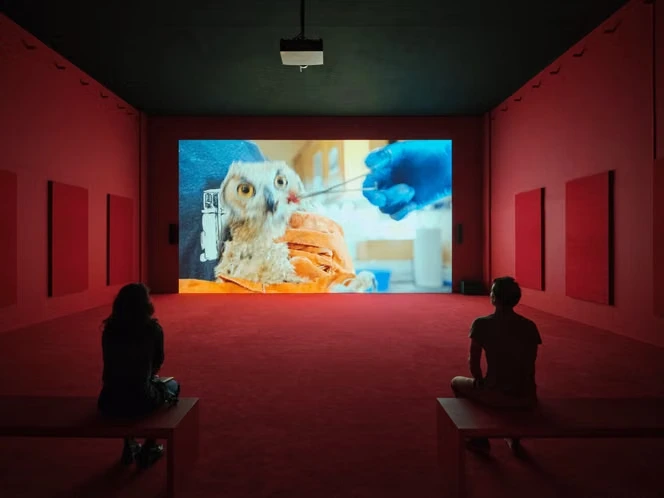 L’artiste Camille Henrot s’interroge, dans une vidéo touchante, sur la manière d’élever son enfant en temps de crise écologique