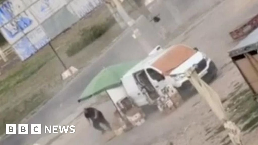 Video shows Russian drone chasing Ukrainian street vendor in 'human safari' attack