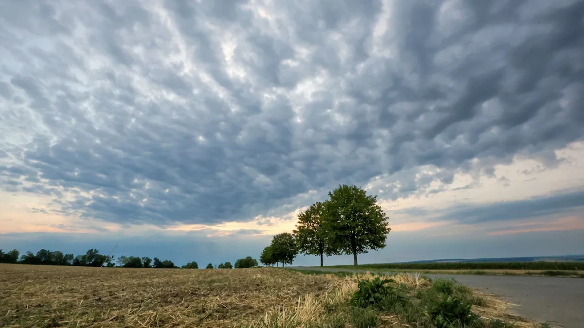 Wetter in Deutschland: Wo es dauernd regnet – und wo die Sonne scheint