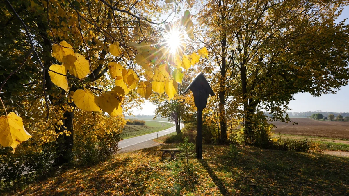 So warm wird’s danach nicht wieder: Heute kommt der Herbst-Höhepunkt mit 21 Grad