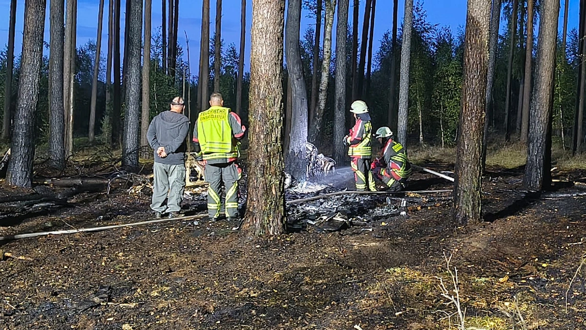 Maschine zerschellt im Wald: Pilot stürzt mit Flugzeug in Wald ab und verbrennt