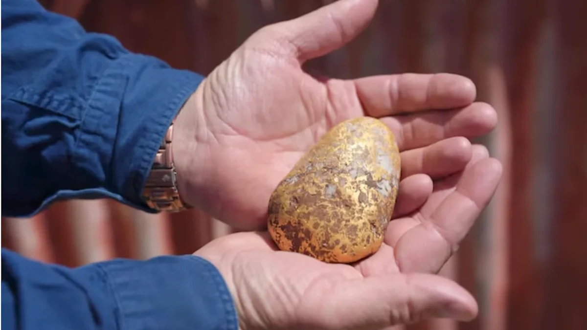 Spektakulärer Fund in Australien: Mann gräbt 1200 Gramm schweren Goldklumpen aus