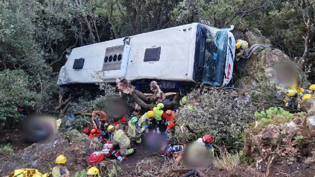 Unfall nahe Barcelona: 80 Verletzte! Bus stürzt 20 Meter tiefe Böschung hinab