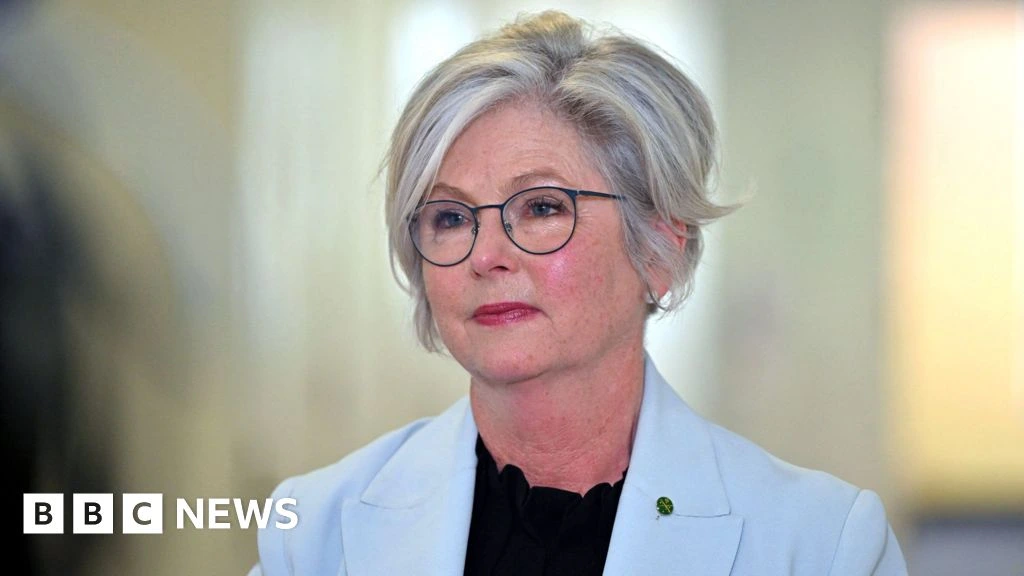 Australian MP critically injured after being hit by car in apparent attack