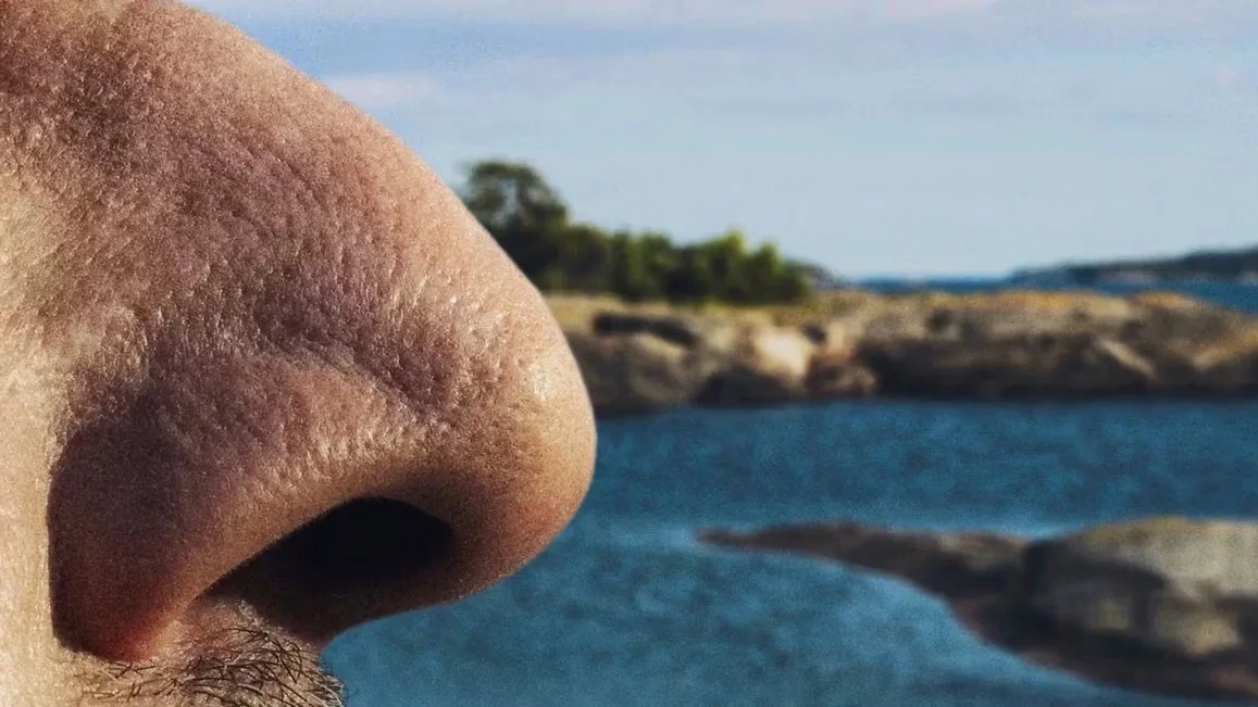 Was man machen muss: Finnen bieten 2000 Euro für Schnüffel-Urlaub