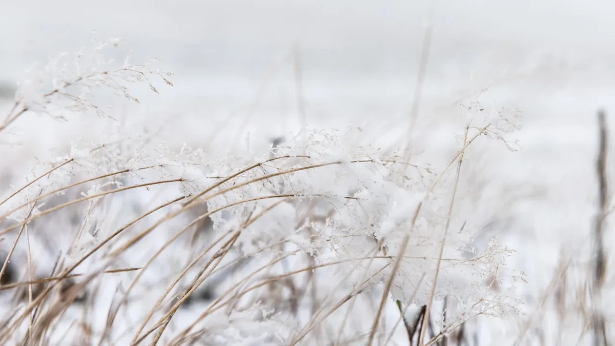 Experten rätseln: Bringt der Oktober schon den ersten Schnee?