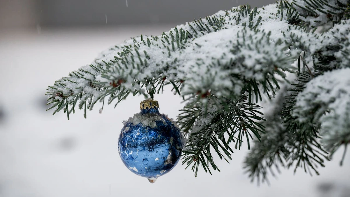Schneeprognose für Weihnachten aufgetaucht: Was man jetzt schon sagen kann
