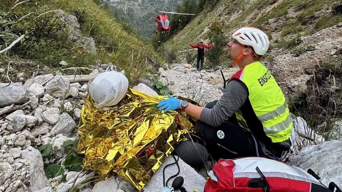 Drama in den österreichischen Alpen: Treuer Labrador rettet verletzten Wanderer