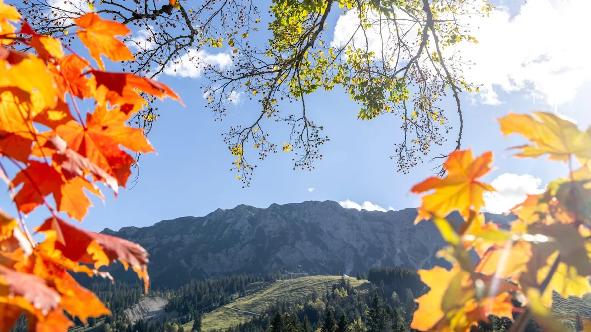 Wetter-Umschwung im Anflug: Bis zu 22 Grad, dann folgt der Absturz